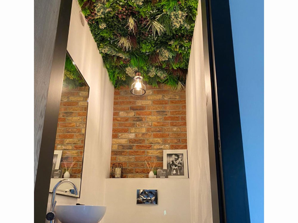 Axillaris rood Kunsthaag project foto Axillaris rood Kunsthaag project foto