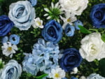 Blue Beauty rozenwand