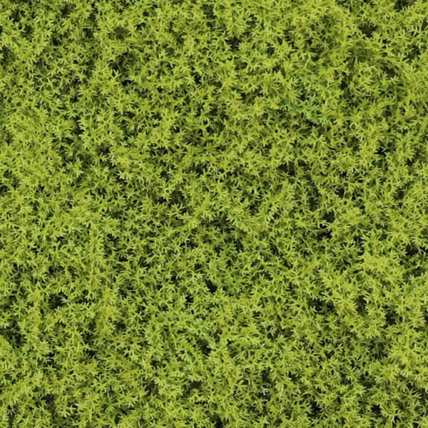 IJsland mos summergreen kunstmoswand