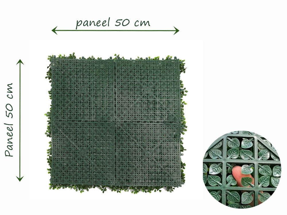 Buxus mix green Achterzijde koppelmaat Buxus mix green Achterzijde koppelmaat