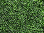 Buxus mix green Kunsthaag