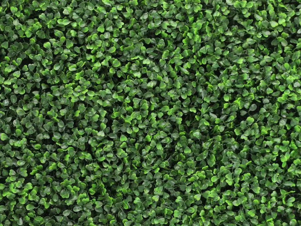 Buxus mix green Kunsthaag Buxus mix green Kunsthaag