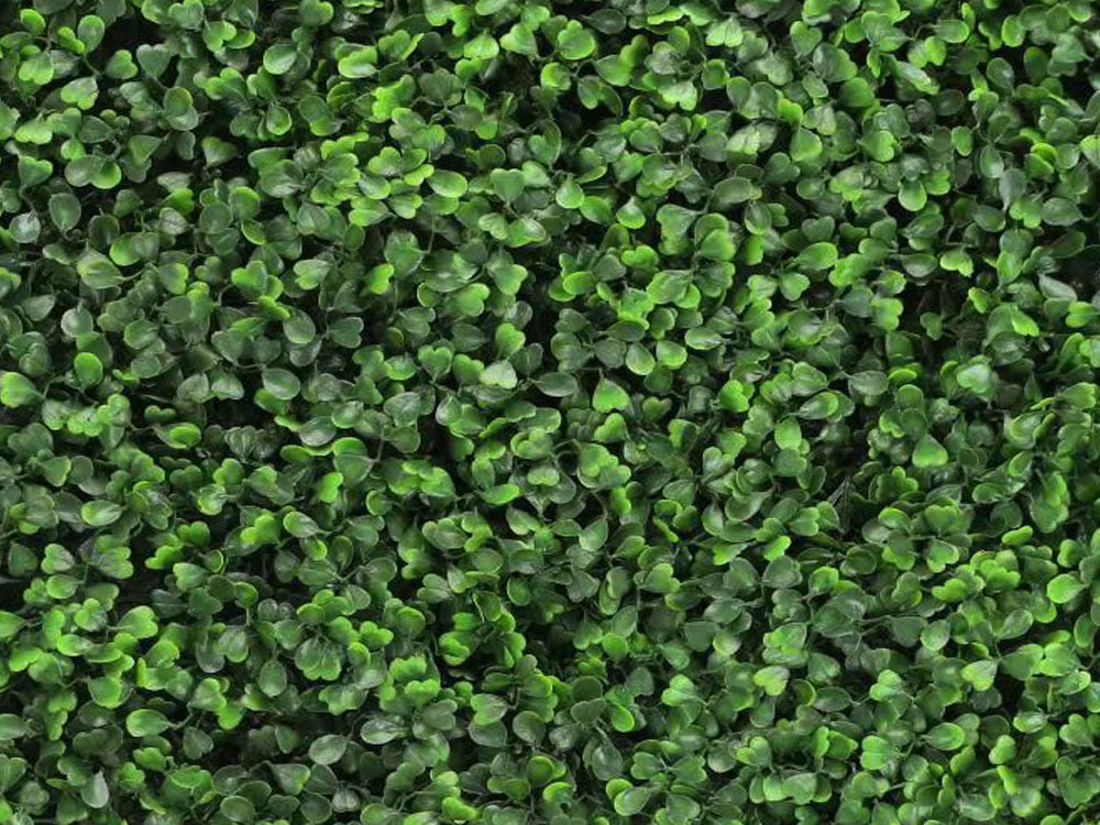 Buxus mix green Kunsthaag Buxus mix green Kunsthaag