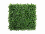 Buxus mix green Kunsthaag