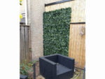 Hedera klimop reallook brandklasse project foto