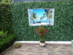 Klimop hedera wit kunsthaag project foto
