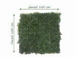 Vegetatie white flower plantenwand achterkant