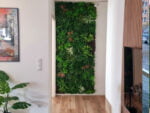 Vegetatie white flower plantenwand project foto
