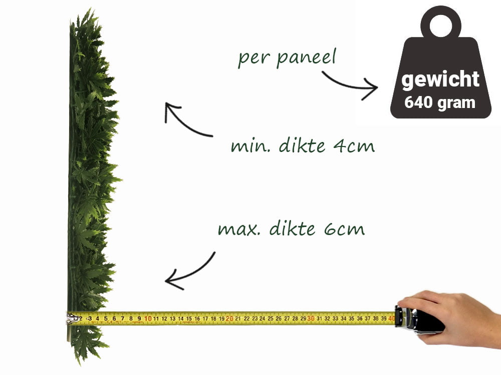 Cannabis sativa kunsthaag zijkant Cannabis sativa kunsthaag zijkant