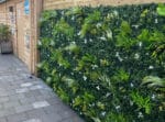 Varen orchidee wit Kunsthaag project foto 1