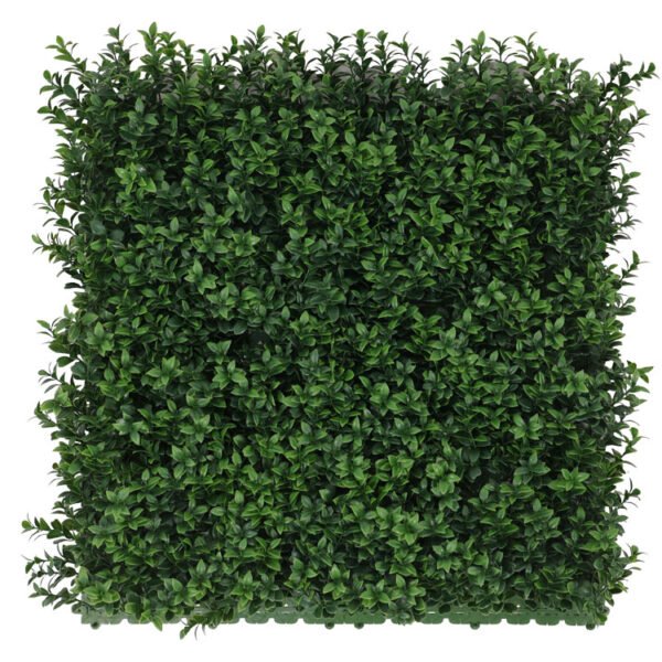 Buxus veronica kunsthaag