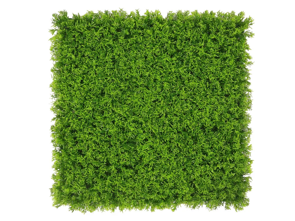 Mos duizendblad licht kunsthaag