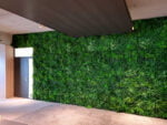 Vegetatie Jungle groen plantenwand project foto wand