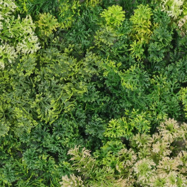 Bos mos mix groen moswand detail
