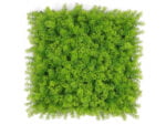 Bos mos softgreen moswand