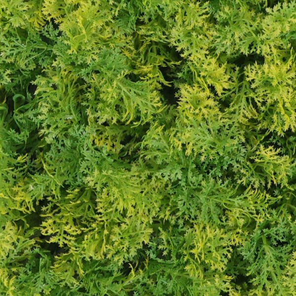 Bos mos yellow moswand detail