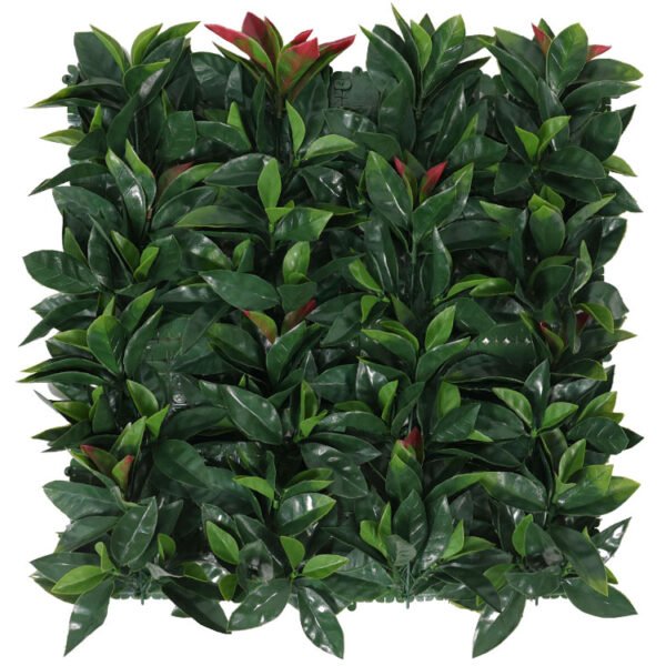 Photinia glansmispel kunsthaag