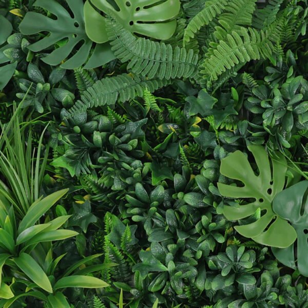 Vegetatie Monstera Jungle Plantenwand detail