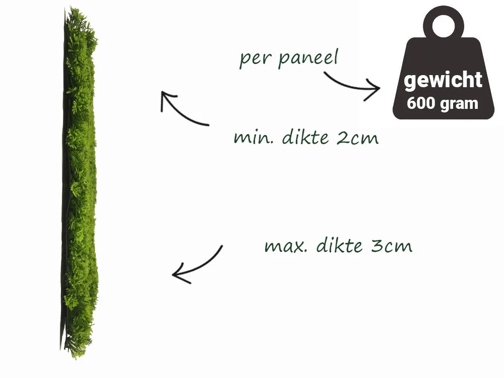 Mos duizendblad licht kunsthaag zijkant maten