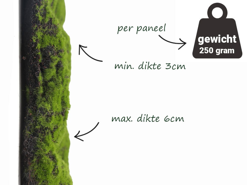 Bolmos foam groen bruin zijkant Bolmos foam groen bruin zijkant