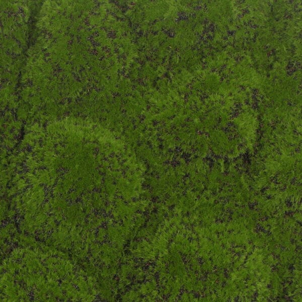 Bolmos foam groen bruin detail