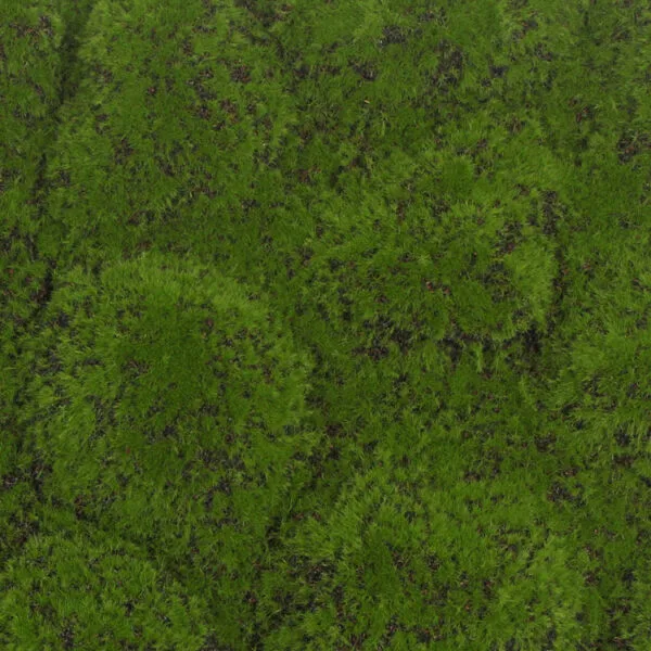 Bolmos foam groen bruin detail