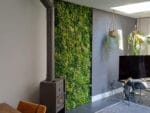 Bos mos mix groen moswand toepassing
