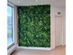 Bos mos mix groen moswand toepassing