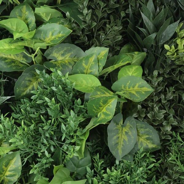 Dieffenbachia variatie plantenwand detail
