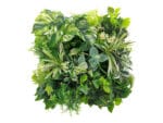 Witte Monstera Bouquet plantenwand