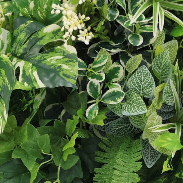 Witte Monstera Bouquet plantenwand detail