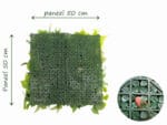Witte Monstera Bouquet plantenwand dichte achterkant