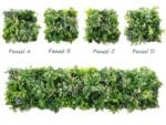 Witte Monstera Bouquet plantenwand zonder patroon