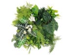 Alocasia Olifantsoor Plantenwand