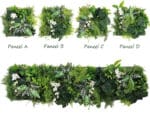 Alocasia Olifantsoor Plantenwand geen patroon