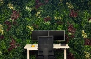 Akoestische plantenwand zelf maken thuiswerkplek