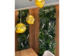 Alocasia Olifantsoor Plantenwand toepassing
