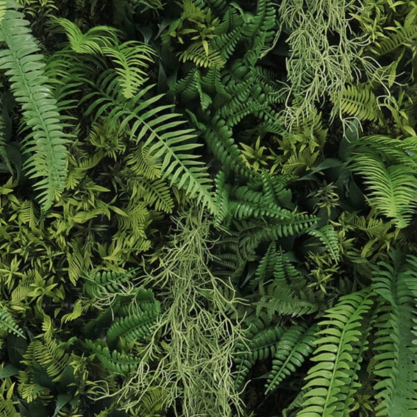 Krulvaren Botanica plantenwand detail