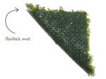 Sedum dakbedekking flexibel