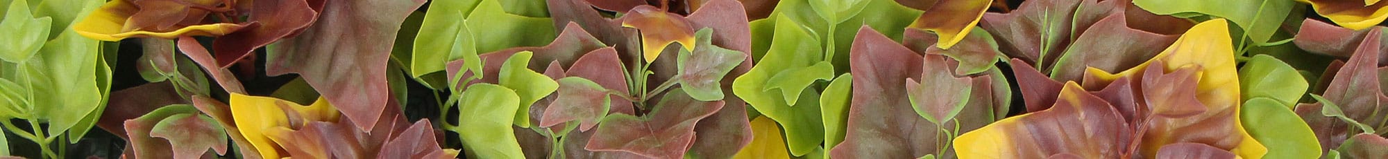 Kunsthaag aanbiedingen en plantenwand uitverkoop