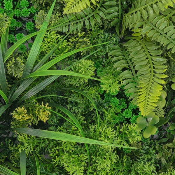 Mos varen flora kunsthaag detail