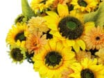 Zonnebloem met goudsbloem details