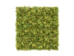 Natuurmos Groenbruin budget