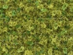 Natuurmos Groenbruin budget detail