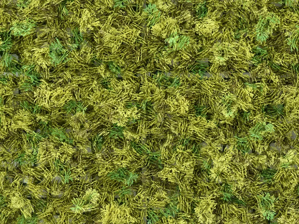 Natuurmos Groenbruin budget detail