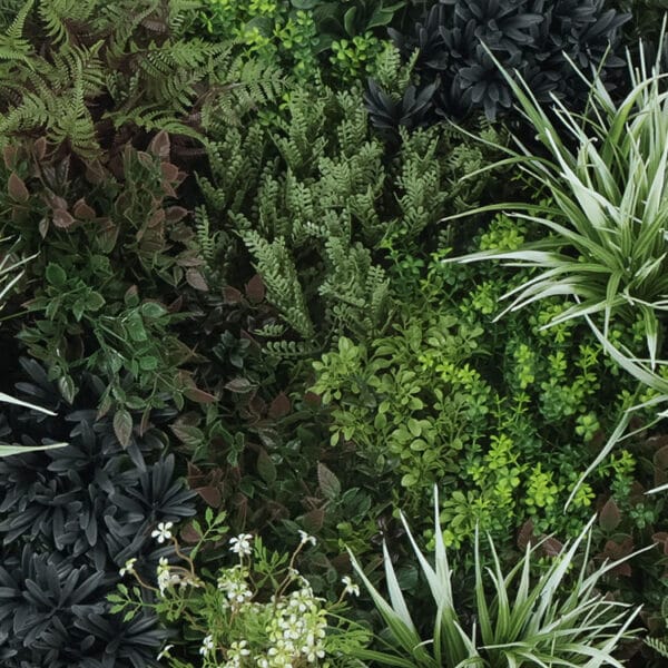Veldkers siergras mix plantenwand details