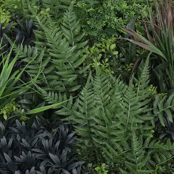 Wijnruit grijs variatie plantenwand details