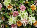 Bloemen flora deluxe plantenwand detail