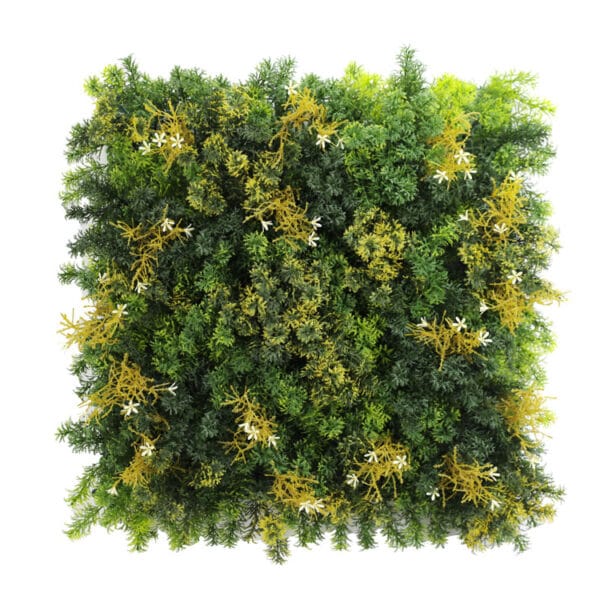 Bosmos rhipsalis bloem moswand
