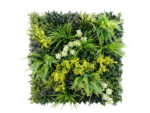 Waterkers flora plantenwand